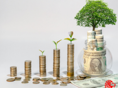 Growth Strategies to Increase Business Value Before Selling | Lion Business Advisors