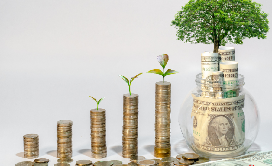 Growth Strategies to Increase Business Value Before Selling | Lion Business Advisors