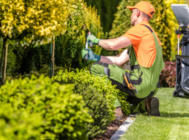 Sell Your Landscaping or Lawn Care Business in Texas | Lion Business Brokers