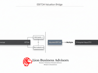 Business Valuation Before Selling | Lion Business Advisors