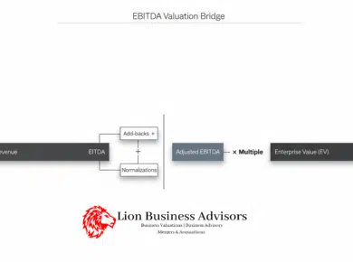Business Valuation Before Selling | Lion Business Advisors